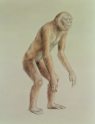 Ramapithecus by English School